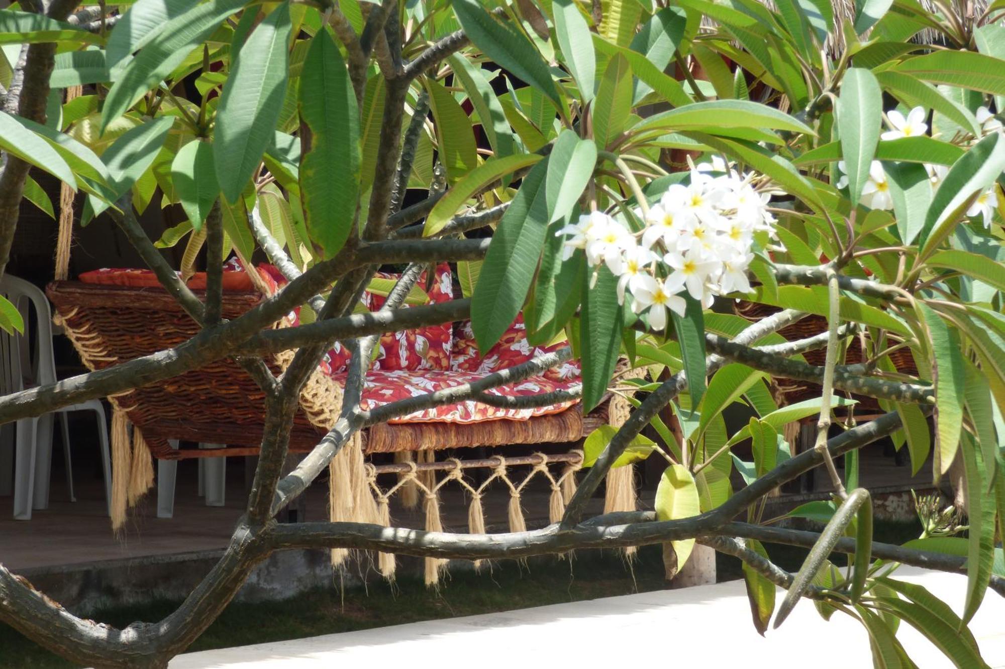 Hotel A Toca Do Bem-Te-Vi Águas Belas Esterno foto
